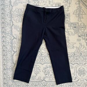 Ann Taylor Dress Pant